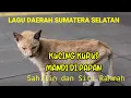 Download Lagu LAGU DAERAH SUMATERA SELATAN,KUCING KURUS MANDI DI PAPAN,Sahilin dan Siti Rahmah