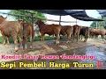 Download Lagu Pasar Sepi Pembeli Harga Turun‼️ Kondisi Pasar Hewan Gondanglegi Malang Jawa Timur #cow