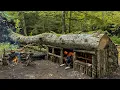 Download Lagu 3 Hari BERKEMAH SURVIVAL SENDIRIAN DI HUJAN; Membangun TEMPAT PERLINDUNGAN BUSHCRAFT YANG NYAMAN