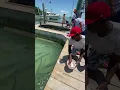 Download Lagu KEY WEST FLORIDA!!!! #short #shortsvideo Fish feeding