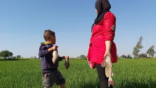 أغرب شيء من الزوجه لما تستهزأ ع الحاج زموط بسبب السمك وشي غير متوقع من عكوش وقنديل  أغرب شيء من الزوجه لما تستهزأ ع الحاج زموط بسبب السمك وشي غير متوقع من عكوش وقنديل
