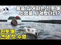 Download Lagu 북유럽 사는 천재 진돗개, 가르치지도 않은 수영을 해냅니다ㅋㅋ