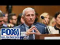 FAUCI BOMBSHELL Federal records were DESTROYED red flags all over the place