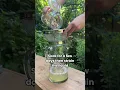 Keep the pests OUT with this super easy all-natural garlic spray