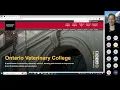 Debrief on DVM Admissions for Unsuccessful Future Candidates - Sept 14 2022 with Elizabeth Lowenger