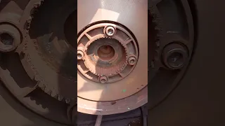                                                         دندنها