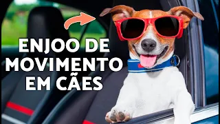 Como ACABAR com a ansiedade do seu cachorro no carro rapidamente 🐾🚗 (Guia passo a passo)