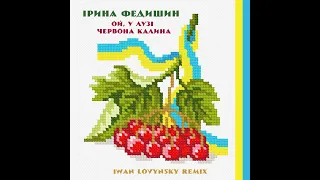 Ірина Федишин Ой у лузі червона калина Iwan Lovynsky Remix  Ірина Федишин Ой у лузі червона калина Iwan Lovynsky Remix