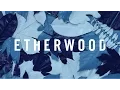 Download Lagu Etherwood - Caption