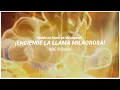 Download Lagu Dragon Ball Burst Limit | Kiseki no Honō yo Moeagare!! - Sub. Español / Romaji |『AMV』