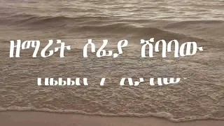 ዘማሪት ሶፊያ ሽባባው በጨለማ እያለው Lyrics 