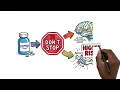 Keppra Explained Uses How It Works Dosage Side Effects Seizure Control Guide