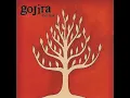 Gojira - Embrace The World