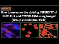 How to measure the staining INTENSITY of NUCLEUS and CYTOPLASM using ImageJ Software