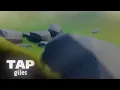 Placing Objects Using Physics