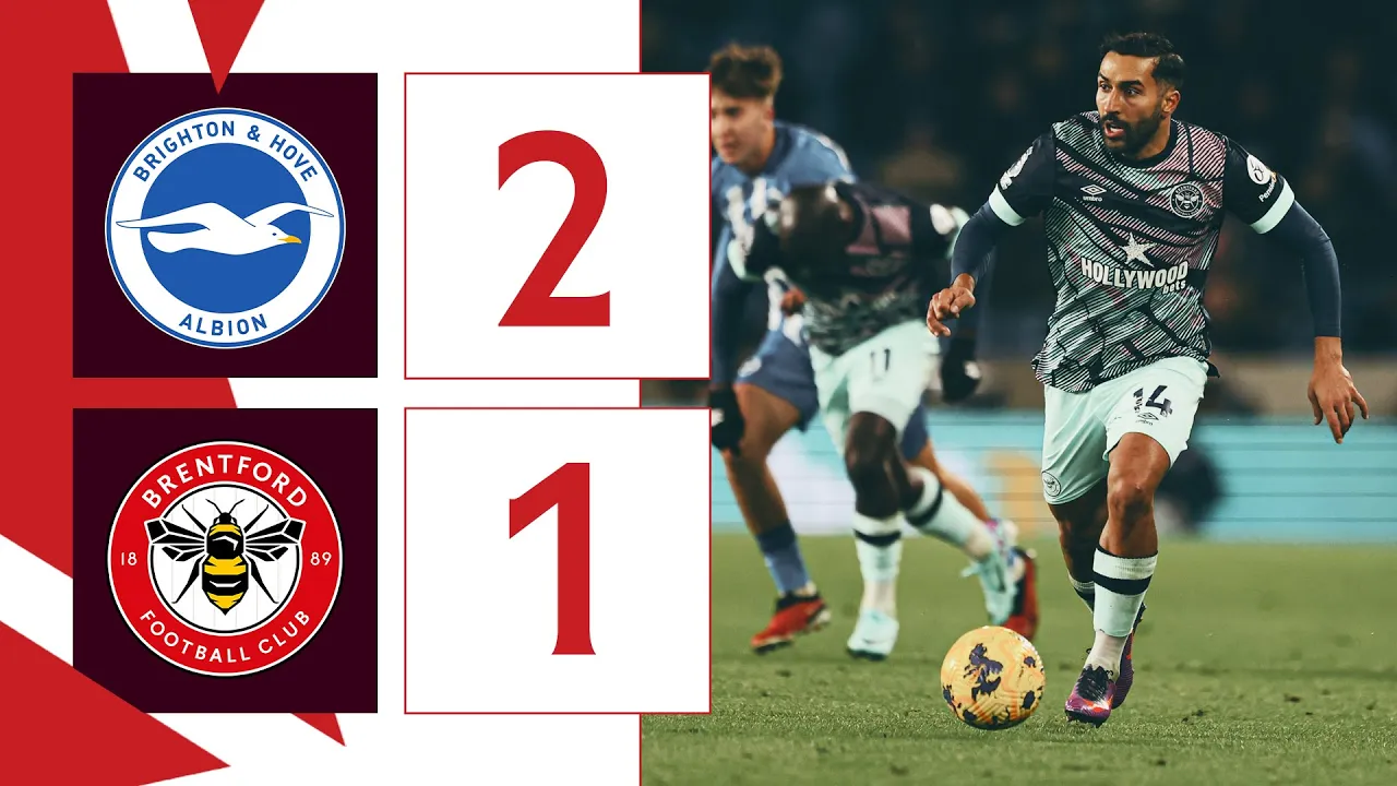 Defeat on the south coast | Brighton and Hove Albion 2 ...