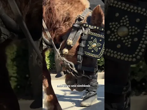 Comparte y firma por favor! Si a la cultura, si a las fiestas, NO A LA ESCLAVITUD ANIMAL.