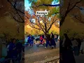 Lagu Nihon no aki wa utsukushii desu. (日本の秋は美しいです。) - Autumn in Japan is beautiful.