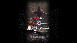 طير وطاير في سماكي 