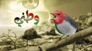  اخي سوف تبكي عليك العيون بدون موسيقى محزن ومؤثر              دندنها