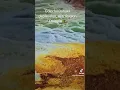 Download Lagu Danakil depression Afar Ethiopia🇪🇹