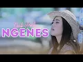 Download Lagu Denik Armila - Ngenes (Official Music Video)