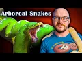 Lagu Top 5 Arboreal Snakes That Make GREAT Pets!