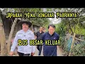 Download Lagu BOS BESAR TIONGKOK TURUN GUNUNG❗BAHAS BATAS PEMBONKARAN❗#kdm 
