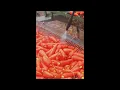 [WRP] Metronomy - Right on time