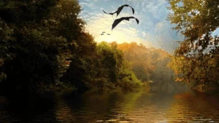 leo rojas der einsame hirt