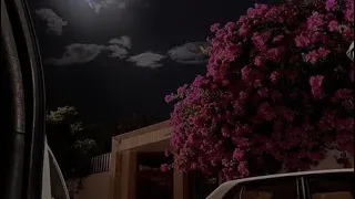 شيلة لاعبيني يا هوا والليل سامر بطئ مميز 