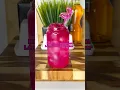 Mango Dragonfruit Lemonade Refresher