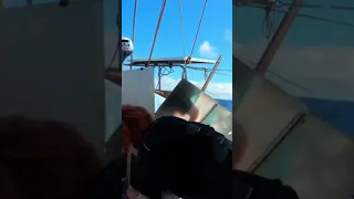 #solaroven #cooking on a #sailboat