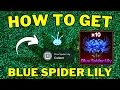 How To Find All Blue Spider Lily Locations in Lineage Piece Roblox