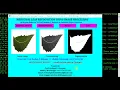 Medicinal Leaf Recognition Using CNN Image Processing Python Project With Source Code