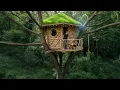Download Lagu The young man built a wonderful house using vines, a bushcraft treehouse@BushcraftIdeas-e9q