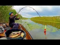 Download Lagu BACK TO THE FISH BACKGROUND! WAS FISHING WITH A FLOAT, BUT SUDDENLY I GRABBED A CARP! FLOAT FISHING!