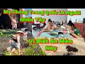 Download Lagu 137🇨🇳🇻🇳Mẹ Chồng Trung Quốc Hoà Nhập Với Con Dâu Bằng Món Này, Đậm Chất Miền Tây Luôn 