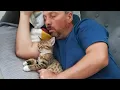 Download Lagu Niets kan deze KATTEN ervan weerhouden om met je te slapen ❤️