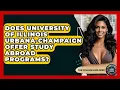 Does University Of Illinois Urbana-Champaign Offer Study Abroad Programs - The College Explorer