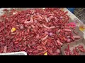 Trimble and Grant Crawfish Festival 2024
