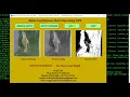 Python Code On Maize Plant Disease Detection Python OpenCV Final Year Project IEEE Projects
