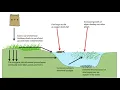 8 4 Eutrophication