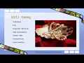 MBTI ESTJ Dating and Intimacy