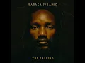 Mr. Rastaman