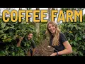 Download Lagu DE ULTIEME SALENTO KOFFIETOUR - we bezochten een koffieplantage in COLOMBIA