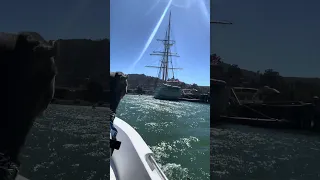 #fyp #sailing #dream #doberman #pets