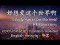I Really Want to Love This World - Hua ChenYu || 好想爱这个世界啊 - 华晨宇 (English/Pinyin/中文)