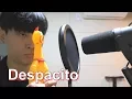 Download Lagu Luis Fonsi - Despacito 'Chicken Band Ver' (Cover by Big marvel)