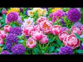 Download Lagu ЛУЧШИЕ Нежные мелодии для души и здоровья 🌿 Музыка, которая успокаивает и даёт силы